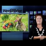 Weekender Spotlight