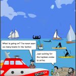 The Cruise