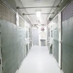 Watson released from prison after 28 months