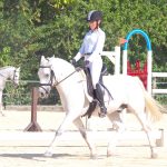 Equestrian Federation hosts Dressage Challenge