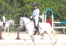 Equestrian Federation hosts Dressage Challenge