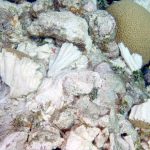 Summonses improperly served in Eden Rock damage case