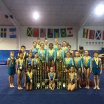 Gymnasts go for the gold at Gasparilla Invitational 2018