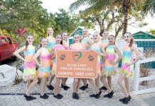 PAWS in the Sand supports canine friends