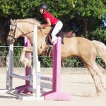 Clear rounds abound in jumping series