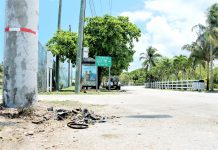 Witnesses to fatal crash sought