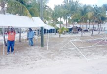 Little Cayman prepares for annual agriculture show
