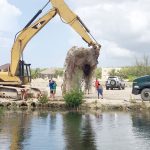 A killer net in Cayman waters? Not today, Bobo