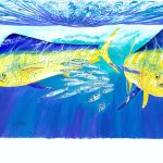 Kirk Slam Tournament welcomes anglers