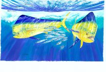 Kirk Slam Tournament welcomes anglers