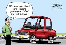 Flex – government’s lift