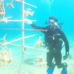 CCMI introduces new Ocean Awards