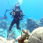 Virtual scuba dives going live