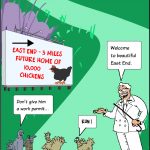 10,000 chickens