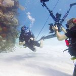 Celebrating the oceans