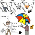 Cats & dogs