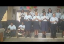 Schools get jingle fever