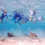 Primary students take on marine challenge