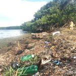 Volunteers sought for North Sound inlet cleanup