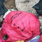 Letter: Untreated medical waste is disgusting and outrageous