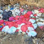 Untreated biomedical waste dumped at Brac landfill