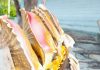 Tracking the private lives of Cayman’s queen conch