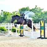 Final jumping show of the season
