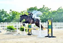Final jumping show of the season