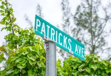 Why the chicken did not cross the road: Exploring Patrick’s Island