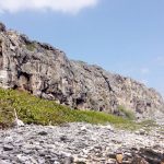 Brackers call for priority in PlanCayman area plans