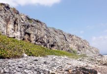 Brackers call for priority in PlanCayman area plans