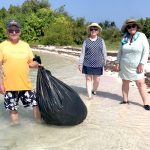 Music fans help clean up Owen Island