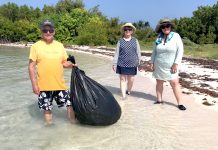 Music fans help clean up Owen Island