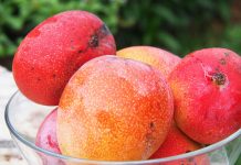 Marvelous mangos are back in season