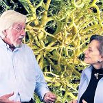 Ocean icon Cousteau opposes cruise berthing in Cayman