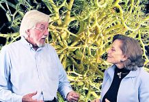 Ocean icon Cousteau opposes cruise berthing in Cayman