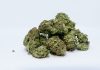 Lawyer appeals to public to contribute to ganja law discussion