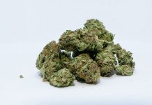 Lawyer appeals to public to contribute to ganja law discussion