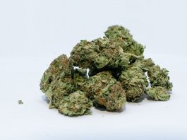 Lawyer appeals to public to contribute to ganja law discussion