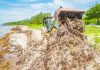 EDITORIAL – Sargassum summer: Cayman’s loyal but unpopular guest