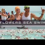 26th annual Flowers Sea Swim attracts nearly 800 competitors
