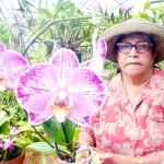 Kirkland Nixon leaves legacy of gorgeous blooms