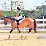 Cayman riders leading in online international dressage competition