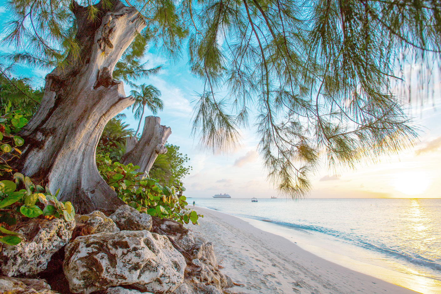 Best Beaches in the Cayman Islands - Cayman Compass