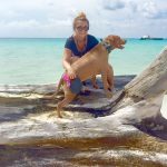 Humane Society to bring Dogs to beach on Saturday