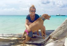 Humane Society to bring Dogs to beach on Saturday
