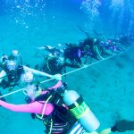 Women divers set world record in Cayman