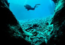 Four honorees inducted into Scuba Diving Hall of Fame