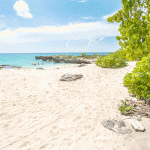 Government seeks to add park to Smith Cove