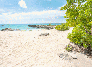 Trial date set for Smith Barcadere robbery case